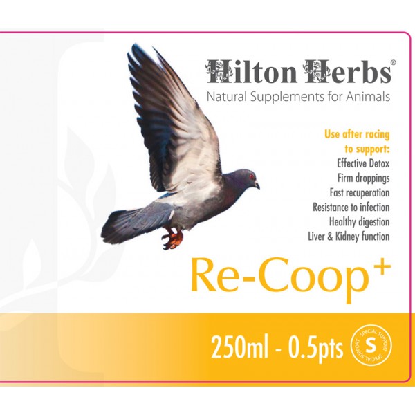 Re-Coop+ - Energy Booster for Pigeons - front label